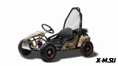 Багги MOTOLAND (МОТОЛЕНД) GOKART 100