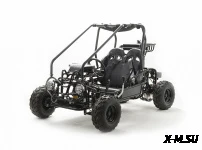 Багги MOTOLAND (МОТОЛЕНД) GOKART 125