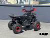 Квадроцикл PROMAX WILD 2.0 190 LUX Красный