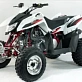  Квадроцикл ACCESS SP 300 SPORT