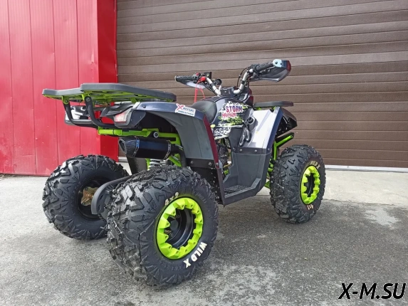 Квадроцикл PROMAX STORM 190 LUX