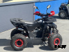 Квадроцикл PROMAX WILD 2.0 190 LUX Красный