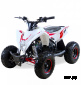 Детский квадроцикл бензиновый MOTAX GEKKON 90 cc 1+1 (Реверс)