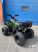 Квадроцикл RAPTOR max 125