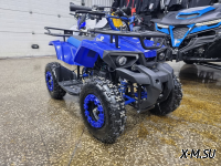 Квадроцикл PROMAX ATV MINI 2T 50CC р/с