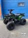 Квадроцикл RAPTOR max 125