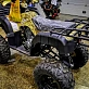Квадроцикл PROMAX ATV 300