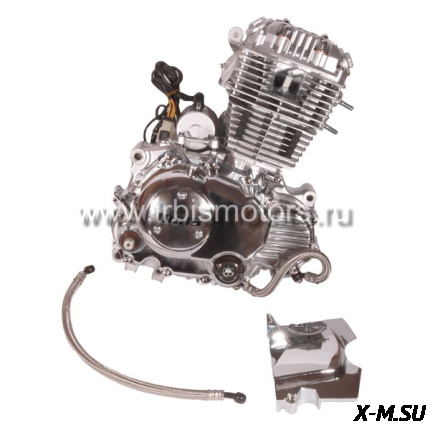 Двигатель в сборе 4Т 165FMM (CBB250) 223см3 (масл.охл.) (МКПП) хром.; GARPIA