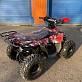 Квадроцикл RAPTOR NEW 125