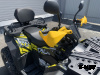 Квадроцикл PROMAX TAURUS 300 MAX-PRO