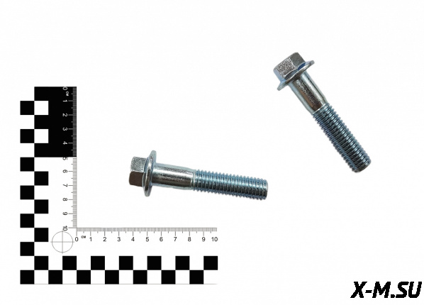 Болты крепления тормозного суппорта J1/J2/J1LE (комплект 2 шт)  70100170