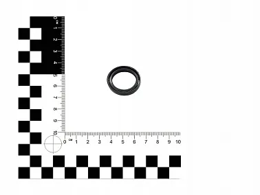 Сальник маятника М2/4/8  73300061